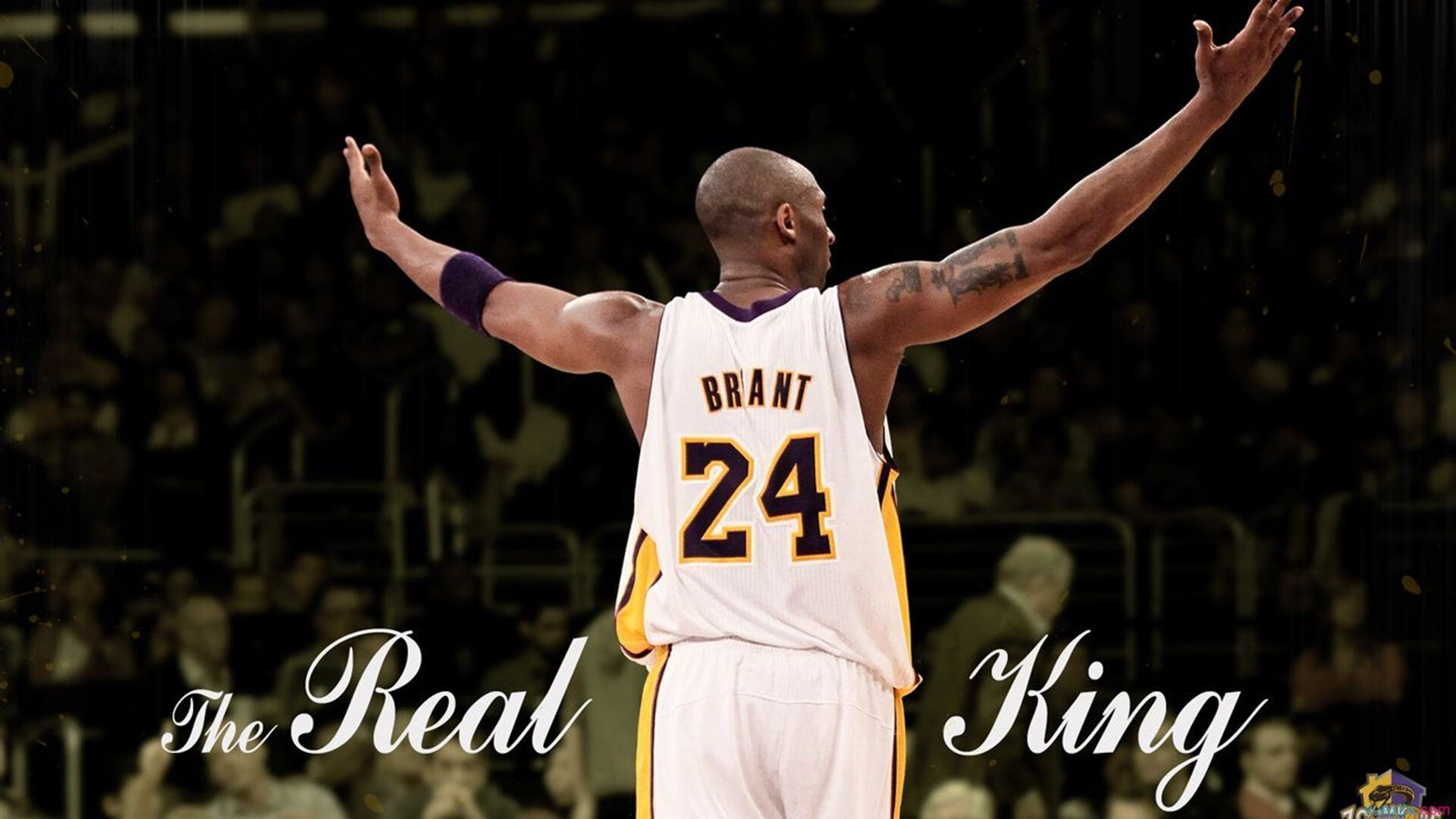 国王高层换届引关注阵容调整,国王转会